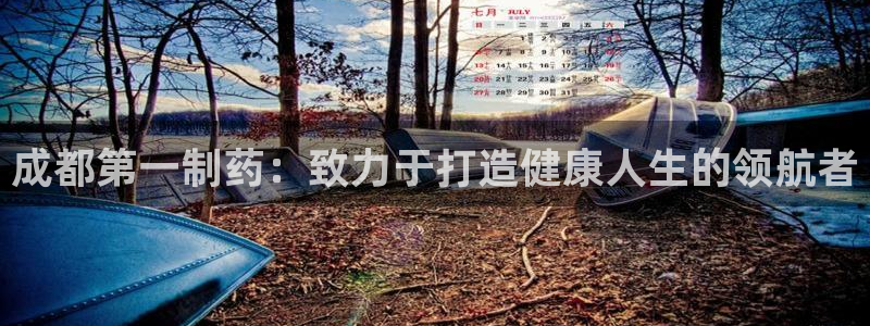 老哥吧九游会下架吗：成都第一制药：致力于打造健康人生的领航者