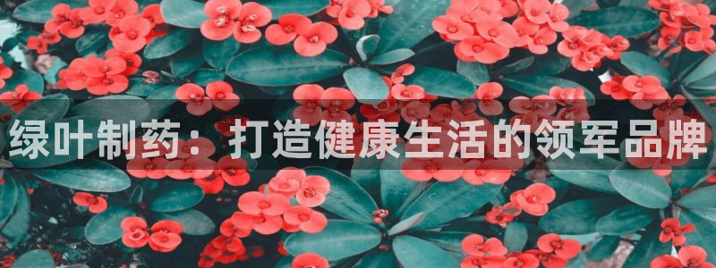 九游会老哥俱乐部必备的交流社区：绿叶制药：打造健康生活的领军品牌
