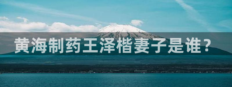 ag九游会老哥：黄海制药王泽楷妻子是谁？