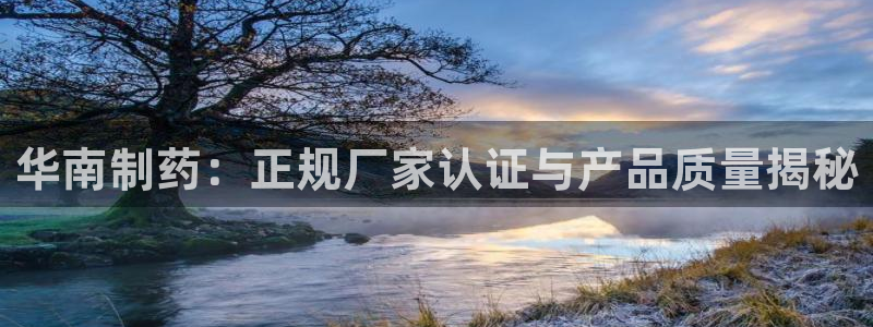 ag九游会老哥：华南制药：正规厂家认证与产品质量揭秘