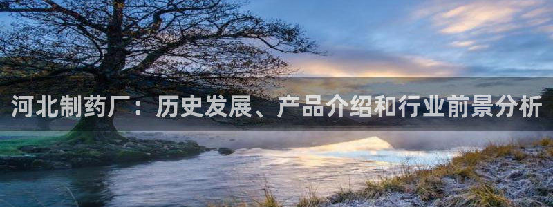 ag九游老哥俱乐部：河北制药厂：历史发展、产品介绍和行业前景分析