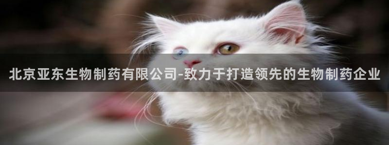 九游老哥俱乐部登录：北京亚东生物制药有限公司-致力于打造领先的生物制药企业