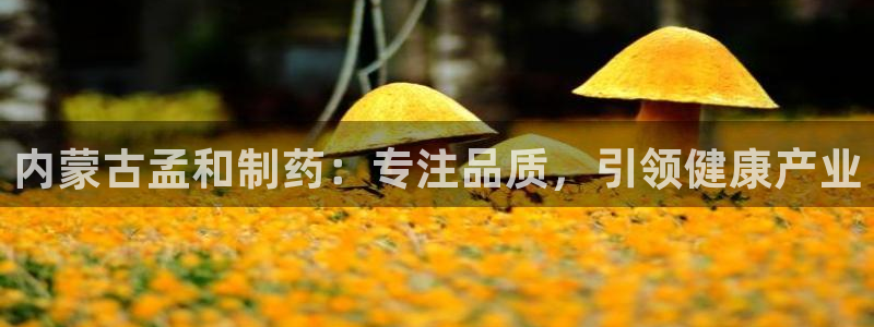 九游老哥俱乐部官网登录：内蒙古孟和制药：专注品质，引领健康产业