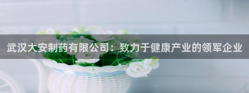 ag九游老哥俱乐部：武汉大安制药有限公司：致力于健康产业的领军企业