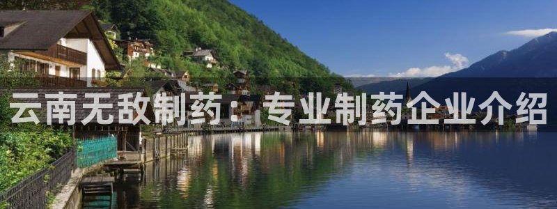 ag九游老哥俱乐部：云南无敌制药：专业制药企业介绍