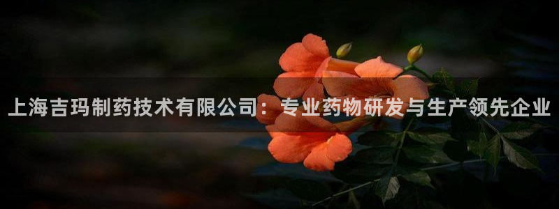j9九游会老哥俱乐部交流区：上海吉玛制药技术有限公司：专业药物研发与生产领先企业