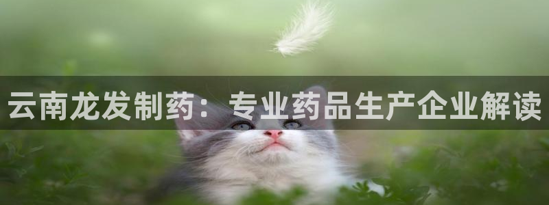 九游会老哥俱乐部官网首页：云南龙发制药：专业药品生产企业解读