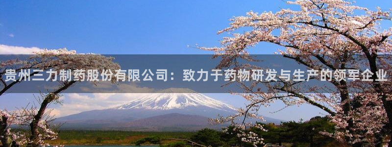 ag九游老哥俱乐部：贵州三力制药股份有限公司：致力于药物研发与生产的领军企业