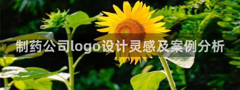 九游老哥俱乐部官网登录入口：制药公司logo设计灵感及案例分析
