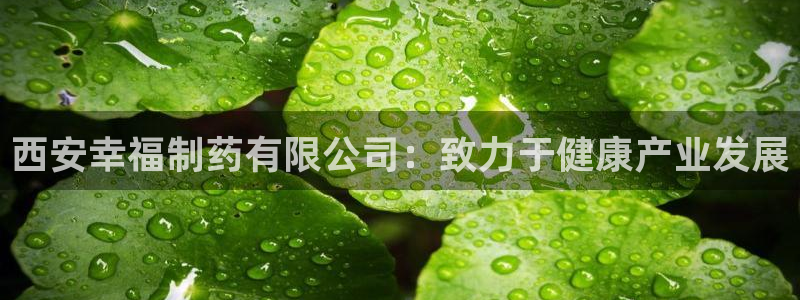 老哥吧九游会：西安幸福制药有限公司：致力于健康产业发展