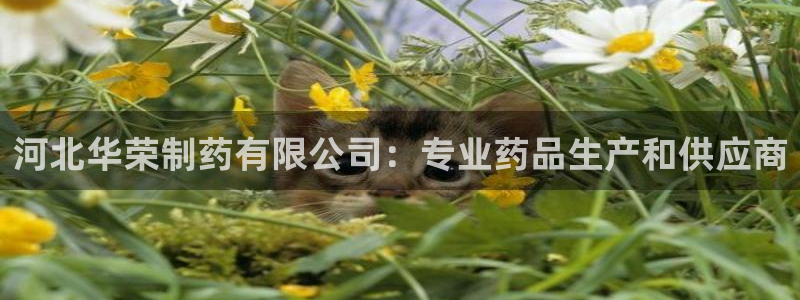 九游会老哥俱乐部官方网站：河北华荣制药有限公司：专业药品生产和供应商