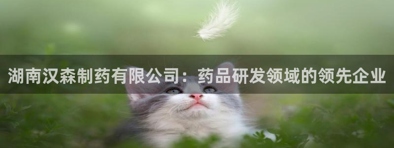 ag九游老哥俱乐部：湖南汉森制药有限公司：药品研发领域的领先企业