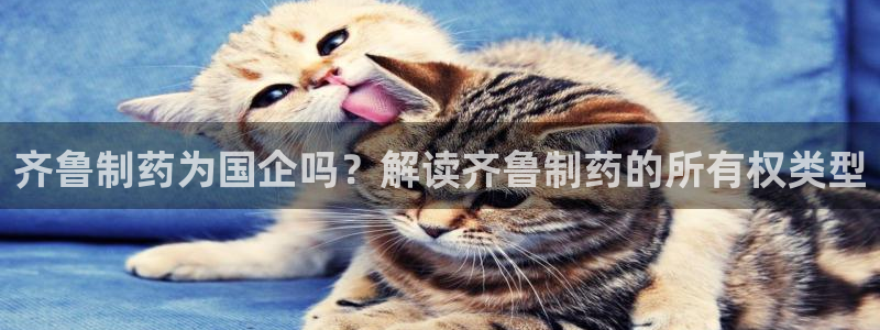 老哥俱乐部是干什么的：齐鲁制药为国企吗？解读齐鲁制药的所有权类型