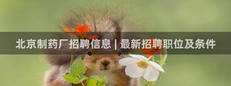 九游老哥俱乐部官网登录网址