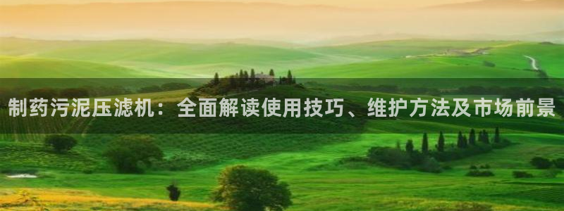 老哥吧九游会下架吗：制药污泥压滤机：全面解读使用技巧、维护方法及市场前景