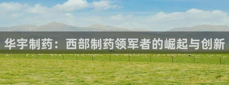 老哥吧九游会下架吗