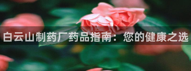 老哥俱乐部是干什么的