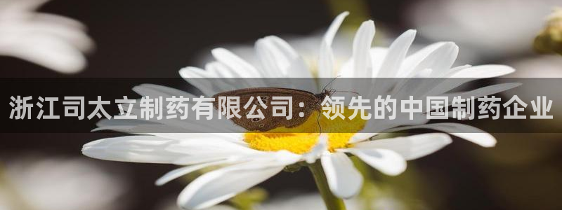 ag九游会老哥俱乐部：浙江司太立制药有限公司：领先的中国制药企业