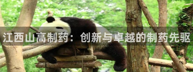 9游会老哥俱乐部：江西山高制药：创新与卓越的制药先驱
