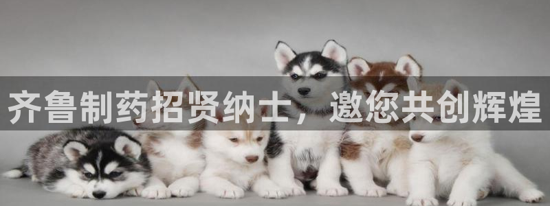 九游会老哥俱乐部社区论坛：齐鲁制药招贤纳士，邀您共创辉煌