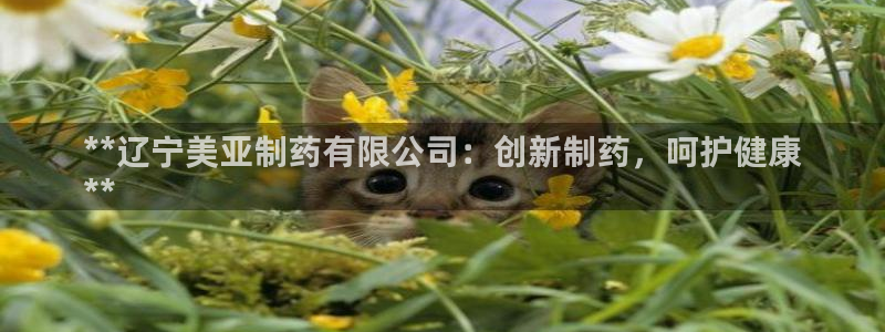 九游会老哥俱乐部社区论坛：**辽宁美亚制药有限公司：创新制药，呵护健康
**