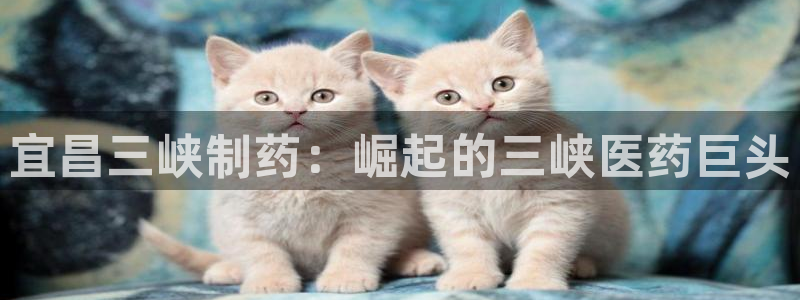 老哥俱乐部是干什么的：宜昌三峡制药：崛起的三峡医药巨头
