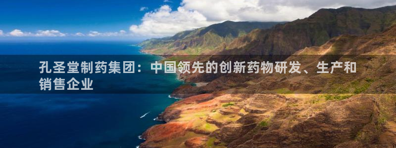 九游会老哥必备的交流社区九：孔圣堂制药集团：中国领先的创新药物研发、生产和
销售企业