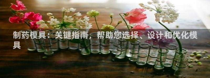 ag九游会老哥俱乐部：制药模具：关键指南，帮助您选择、设计和优化模
具