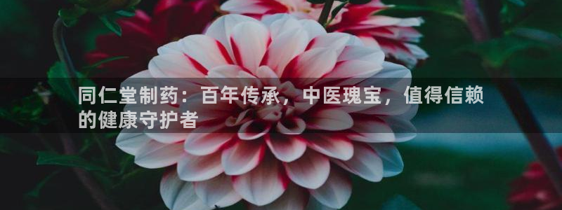 九游老哥俱乐部官网登录入口：同仁堂制药：百年传承，中医瑰宝，值得信赖
的健康守护者