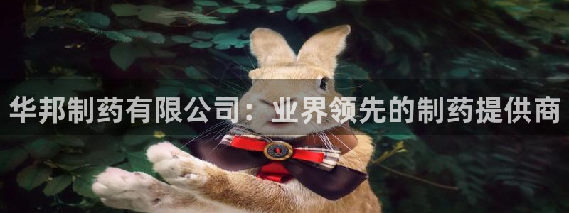 九游会老哥必备的交流社区九：华邦制药有限公司：业界领先的制药提供商