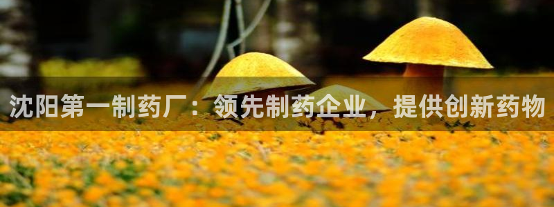 usdt九游会老哥俱乐部：沈阳第一制药厂：领先制药企业，提供创新药物