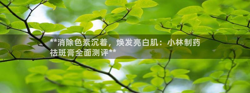 ag九游老哥俱乐部