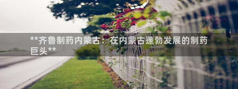老哥俱乐部是干什么的啊：**齐鲁制药内蒙古：在内蒙古蓬勃发展的制药
巨头**
