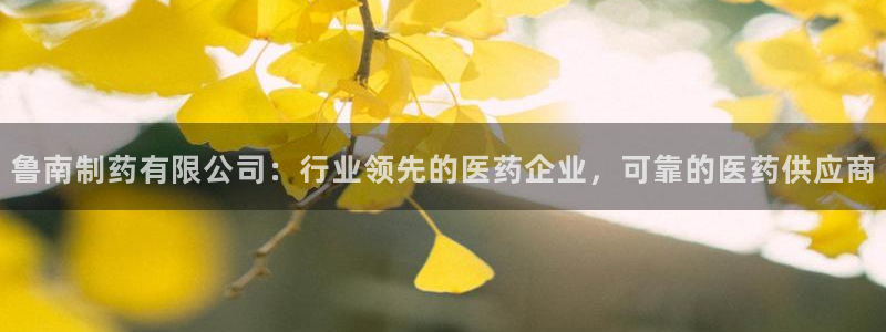 九游会老哥俱乐部必备的交流社区论坛：鲁南制药有限公司：行业领先的医药企业，可靠的医药供应商