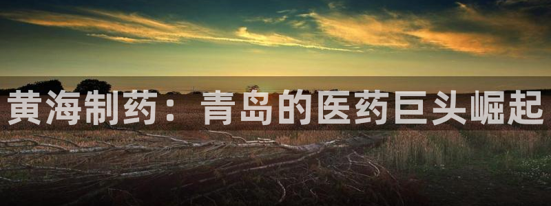 老哥俱乐部是干什么的啊：黄海制药：青岛的医药巨头崛起