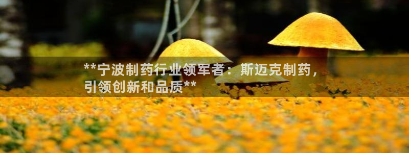 老哥俱乐部是干什么的：**宁波制药行业领军者：斯迈克制药，
引领创新和品质**