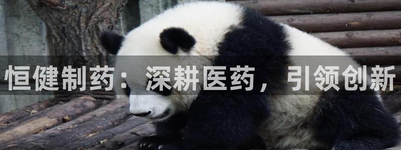 九游会老哥必备的交流社区：恒健制药：深耕医药，引领创新
