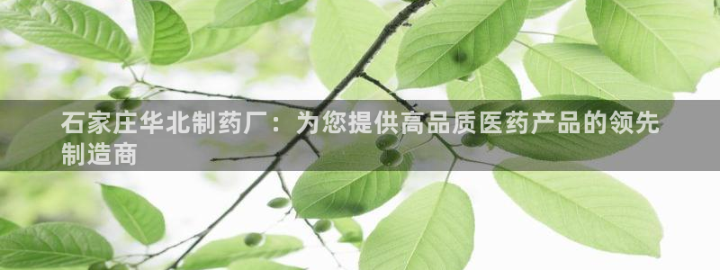 老哥吧九游会下架吗：石家庄华北制药厂：为您提供高品质医药产品的领先
制造商