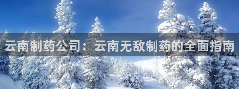 九游老哥俱乐部官网登录入口：云南制药公司：云南无敌制药的全面指南