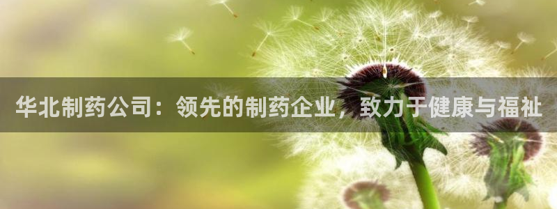 九游会老哥俱乐部社区论坛：华北制药公司：领先的制药企业，致力于健康与福祉