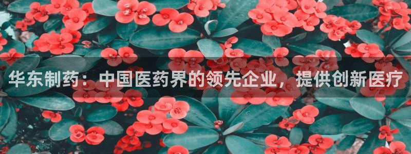 九游会老哥俱乐部必备的交流社区：华东制药：中国医药界的领先企业，提供创新医疗