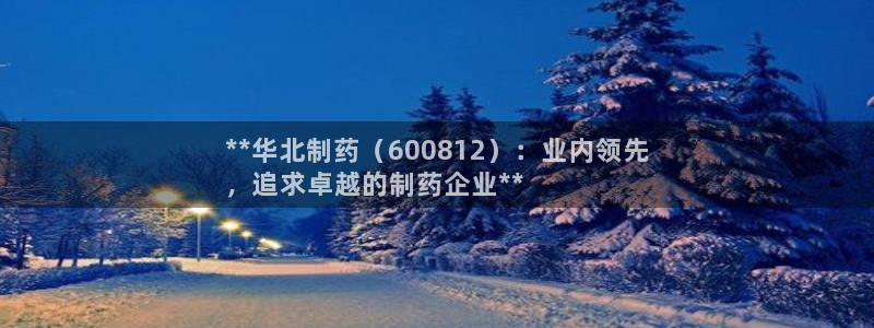 老哥俱乐部是干什么的：**华北制药（600812）：业内领先
，追求卓越的制药企业**