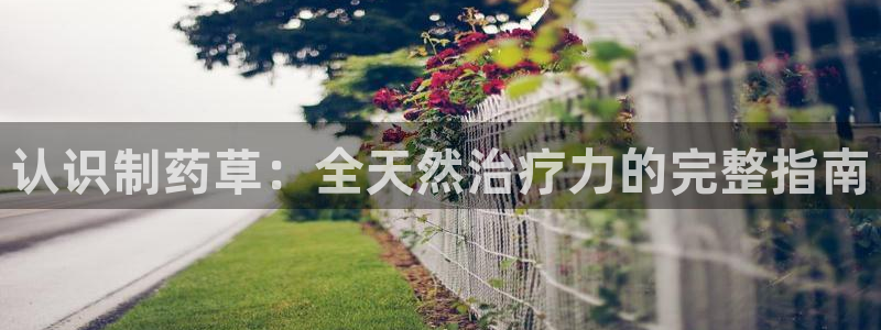 九游会老哥俱乐部官网首页论坛：认识制药草：全天然治疗力的完整指南