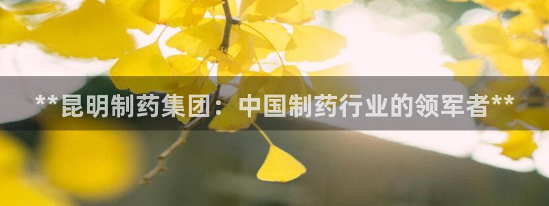 九游会老哥必备的交流社区九：**昆明制药集团：中国制药行业的领军者**