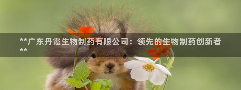 九游老哥俱乐部登录：**广东丹霞生物制药有限公司：领先的生物制药创新者
**