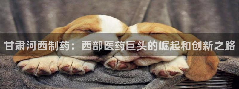 九游会老哥俱乐部论坛版：甘肃河西制药：西部医药巨头的崛起和创新之路