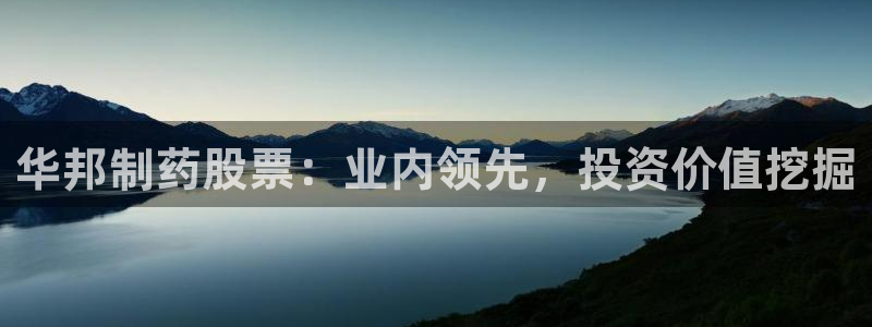 老哥俱乐部是干什么的：华邦制药股票：业内领先，投资价值挖掘