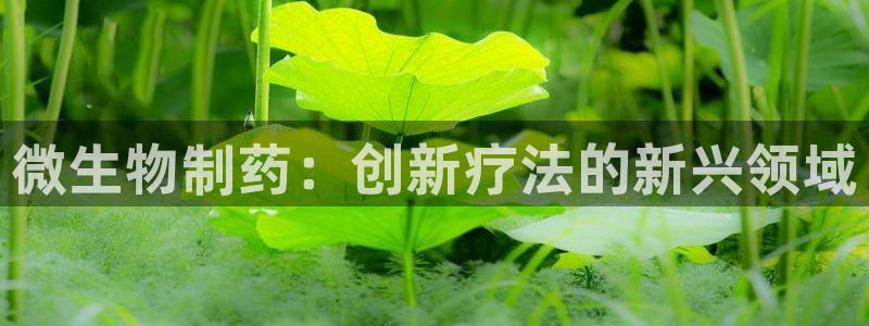 usdt九游会老哥俱乐部：微生物制药：创新疗法的新兴领域
