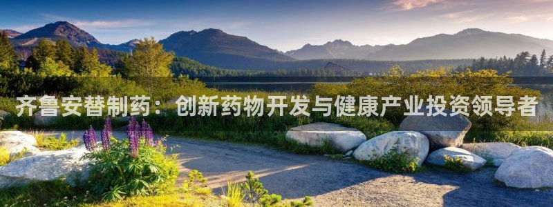 9游会老哥：齐鲁安替制药：创新药物开发与健康产业投资领导者