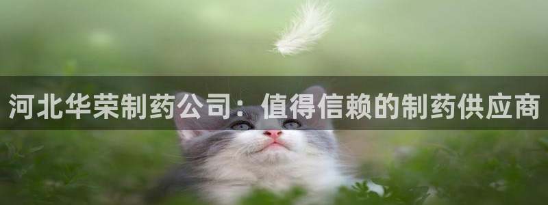 九游会老哥：河北华荣制药公司：值得信赖的制药供应商